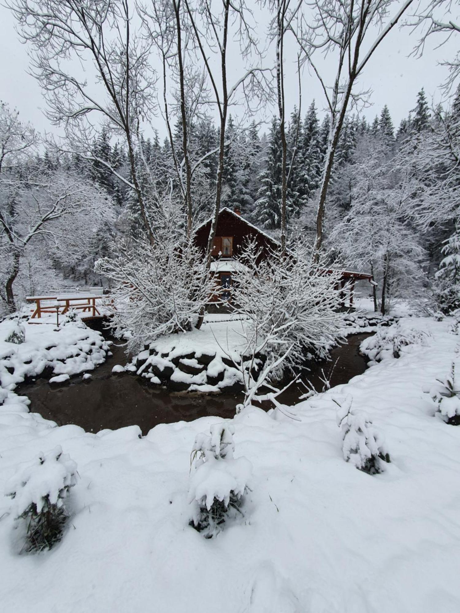 Relax Island Guesthouse 이즈보아레 외부 사진